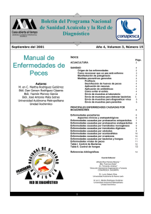 Manual de enfermedades de peces