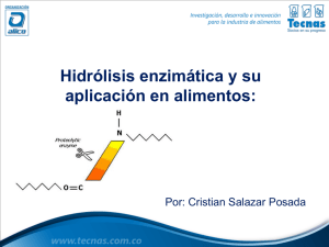 Hidrolisis enzimatica y su aplicacion en alimentos