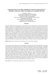 Control del Virus de la Hoja Amarilla de la Caña de Azúcar (SCYLV