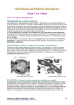 Tema 7: La Célula - Hipertextos del Área de la Biología