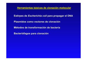 Estirpes de Escherichia coli para propagar el DNA E. coli