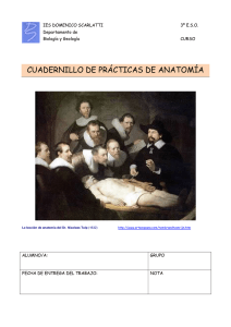cuadernillo de prácticas de anatomía