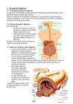 Digestivo y respiratorio - 2PCPI-JUSTO