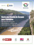 Hacia una cuenta de bosques para Colombia: Algunas