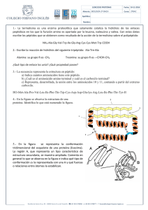 1.- La termolisina es una enzima proteolítica que - HIBIO-GEO