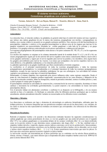 El sistema nervioso autónomo. Conexiones simpáticas con el plexo