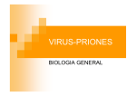 virus y priones [Modo de compatibilidad]