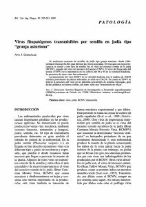 Virus fitopatógenos transmisibles por semilla en judía tipo "granja