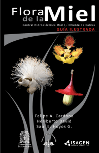Guía Ilustrada Flora de la Miel Central Hidroeléctrica Miel I