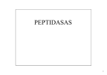 PEPTIDASAS