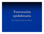 Tumoración epididimaria