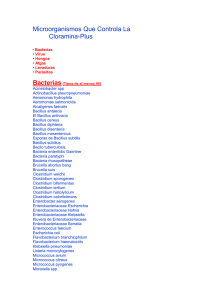 Microorganismos que controla