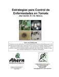 Tomato Disease Control Strategies