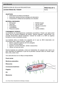 práctica nº 4 - IES Rosa Chacel