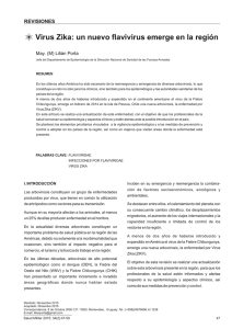 Pag 47 a 59 Virus.cdr