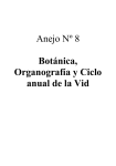 Anejo Nº 8 Botánica, Organografía y Ciclo anual de la Vid