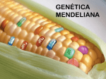 genética mendeliana