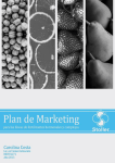 plan de marketing - Repositorio Universidad Siglo 21