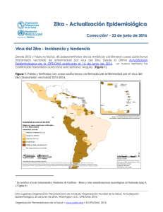 Zika - Actualización Epidemiológica