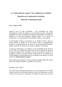 La “Enfermedad de Angara” una realidad para Colombia Hepatitis
