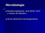 microbiologia - Google Sites