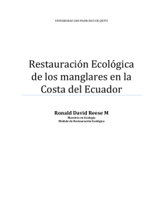 Restauración Ecológica de los manglares en la Costa del Ecuador