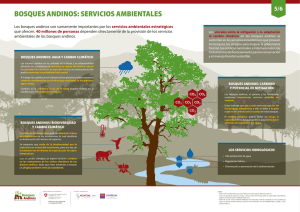 bosques andinos: servicios ambientales