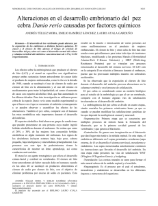 Alteraciones en el desarrollo embrionario del pez cebra Danio rerio