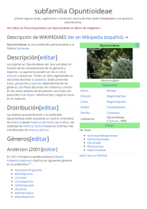 subfamilia Opuntioideae