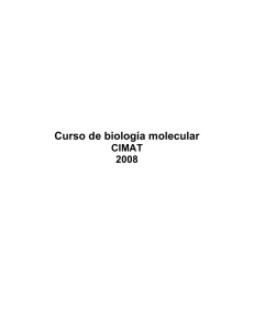 Curso de biología molecular