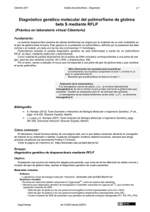 Diagn&oacute;stico gen&eacute;tico molecular del polimorfismo de