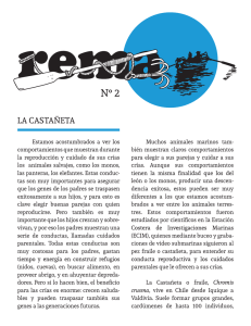 Revista REMA N° 2