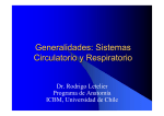 circulatorio respiratorio fetal - U