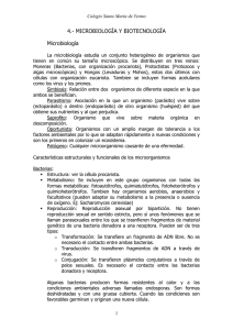 4.- MICROBIOLOGÍA Y BIOTECNOLOGÍA Microbiología