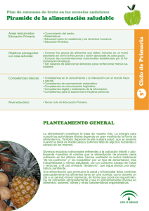 Pirámide de la alimentación saludable