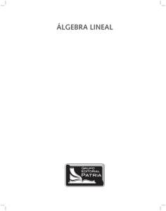 Álgebra Lineal - Grupo Editorial Patria