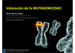 Valoración de la Mutagenicidad