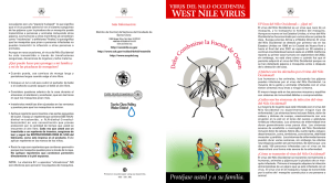 west nile virus - the County of Santa Clara