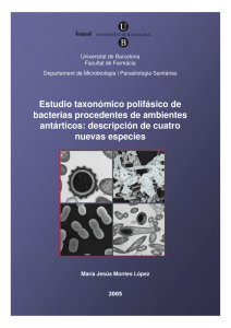 Estudio taxonómico polifásico de bacterias procedentes de