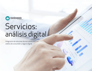 Analisis Digital, servicios