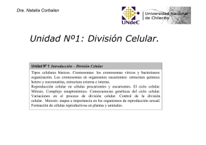 Unidad Nº1: División Celular.