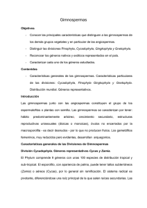 Gimnospermas - Facultad de Ciencias-UCV