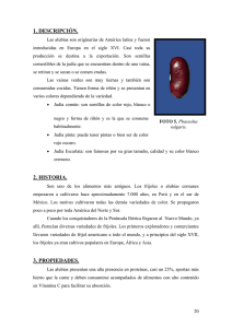 phaseolus vulgaris - La Anunciata Ikerketa
