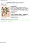 Cannabis sativa: morfología y ecología