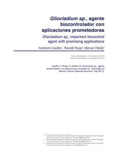 Gliocladium sp., agente biocontrolador con aplicaciones
