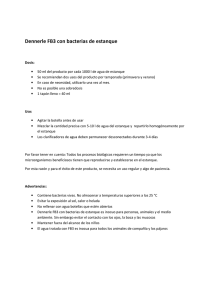 Dennerle FB3 con bacterias de estanque