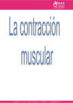 contracción muscular