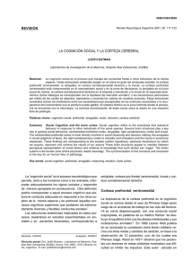 la cognicion social y la corteza cerebral