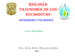 Taxonomía de los eucariotas diversidad y filogenia filo oniyophora