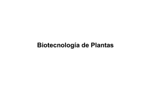 Descargar pdf - Biología Molecular y Bioquímica